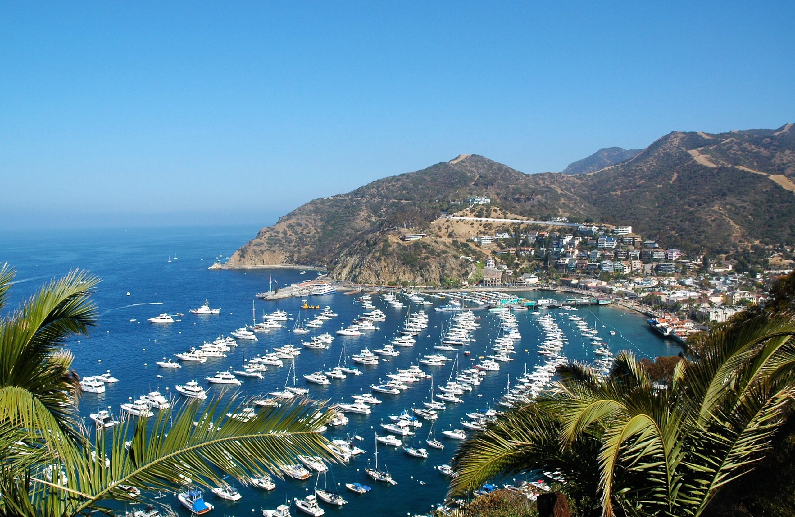Avalon, Catalina Island